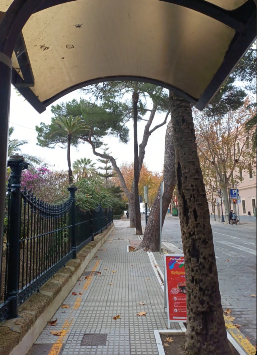 the first of many whole tortillas