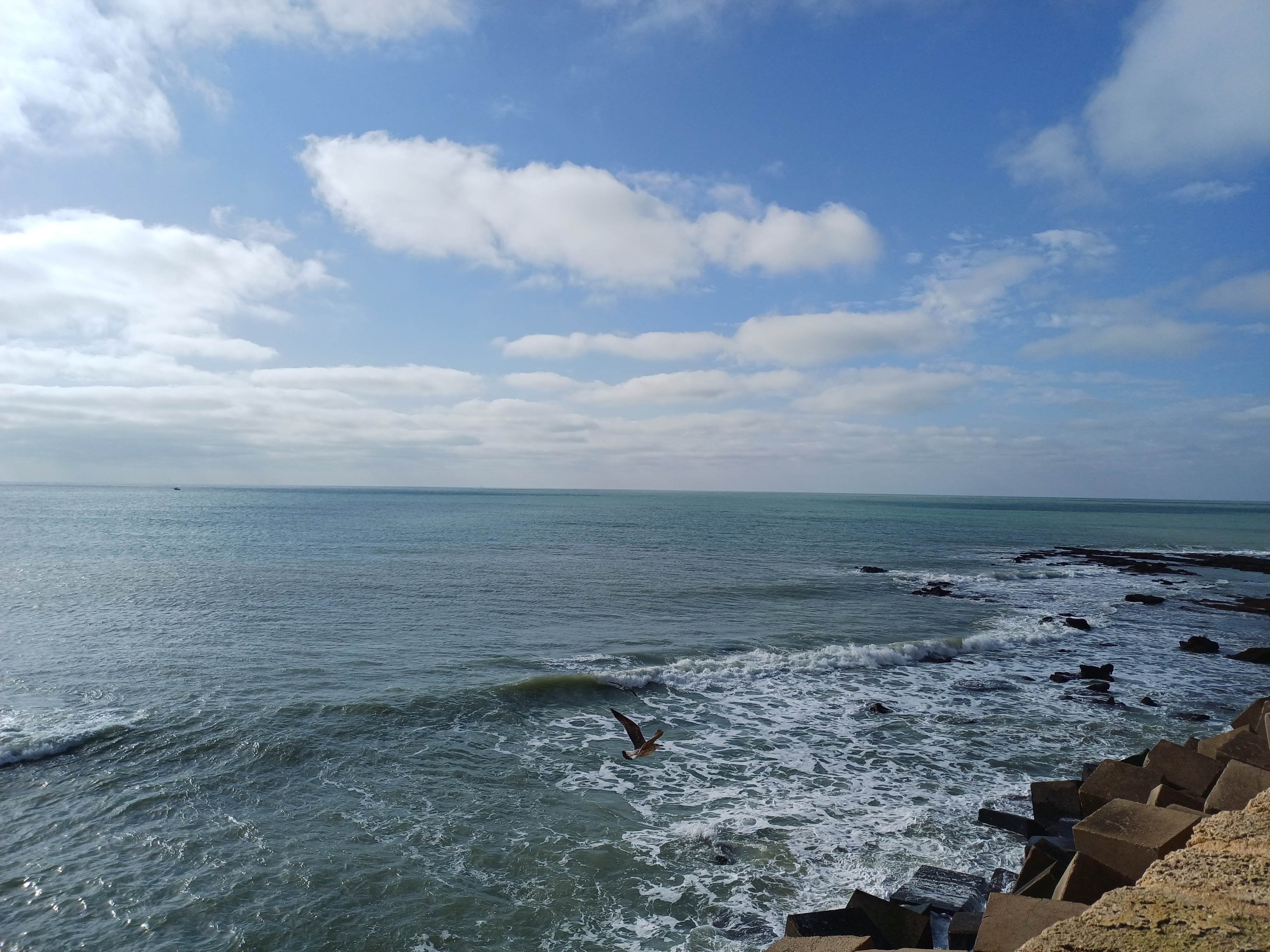 the sea and got gallery image 1