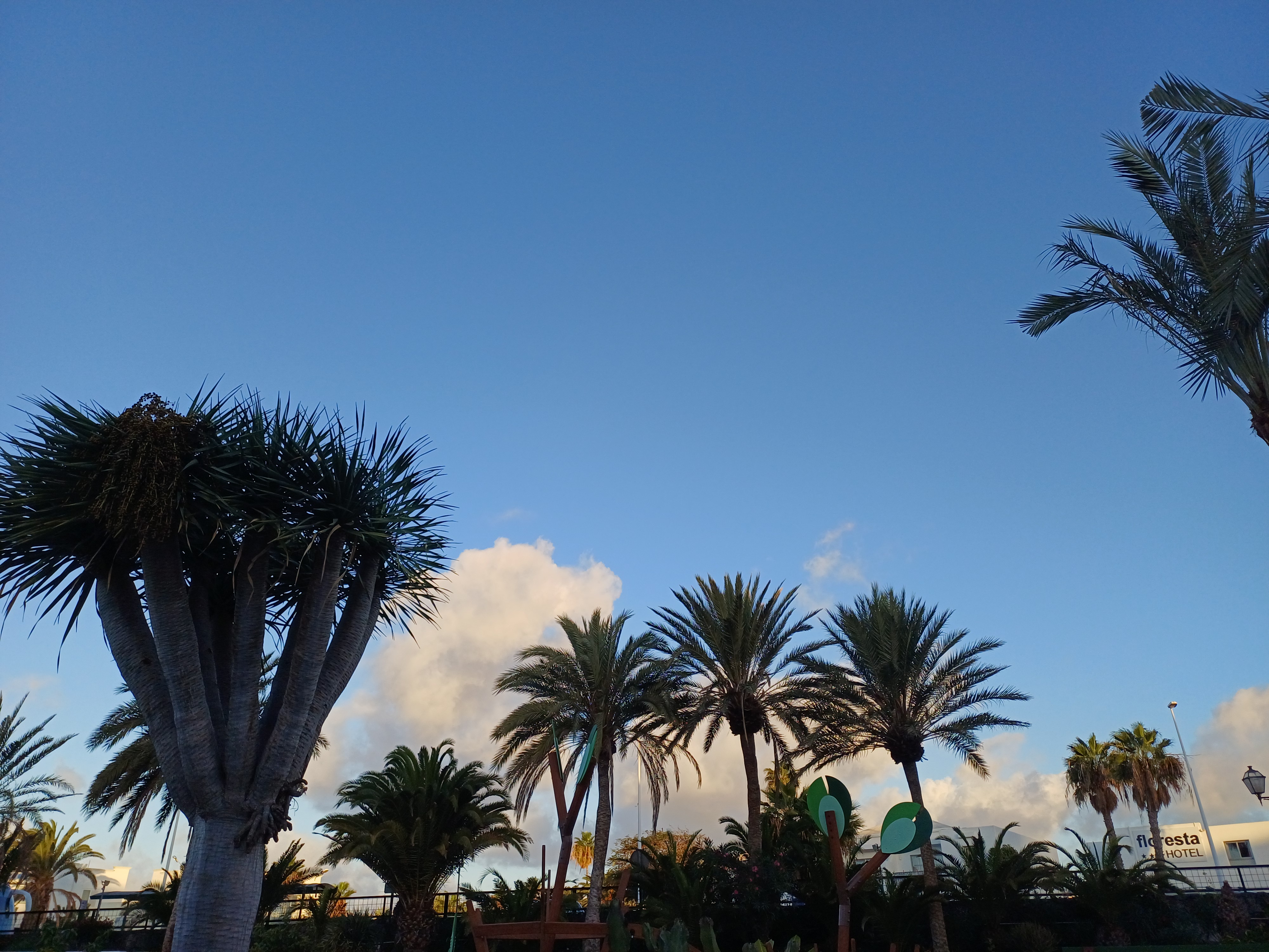 Early Birds and Gala Nights gallery image 1