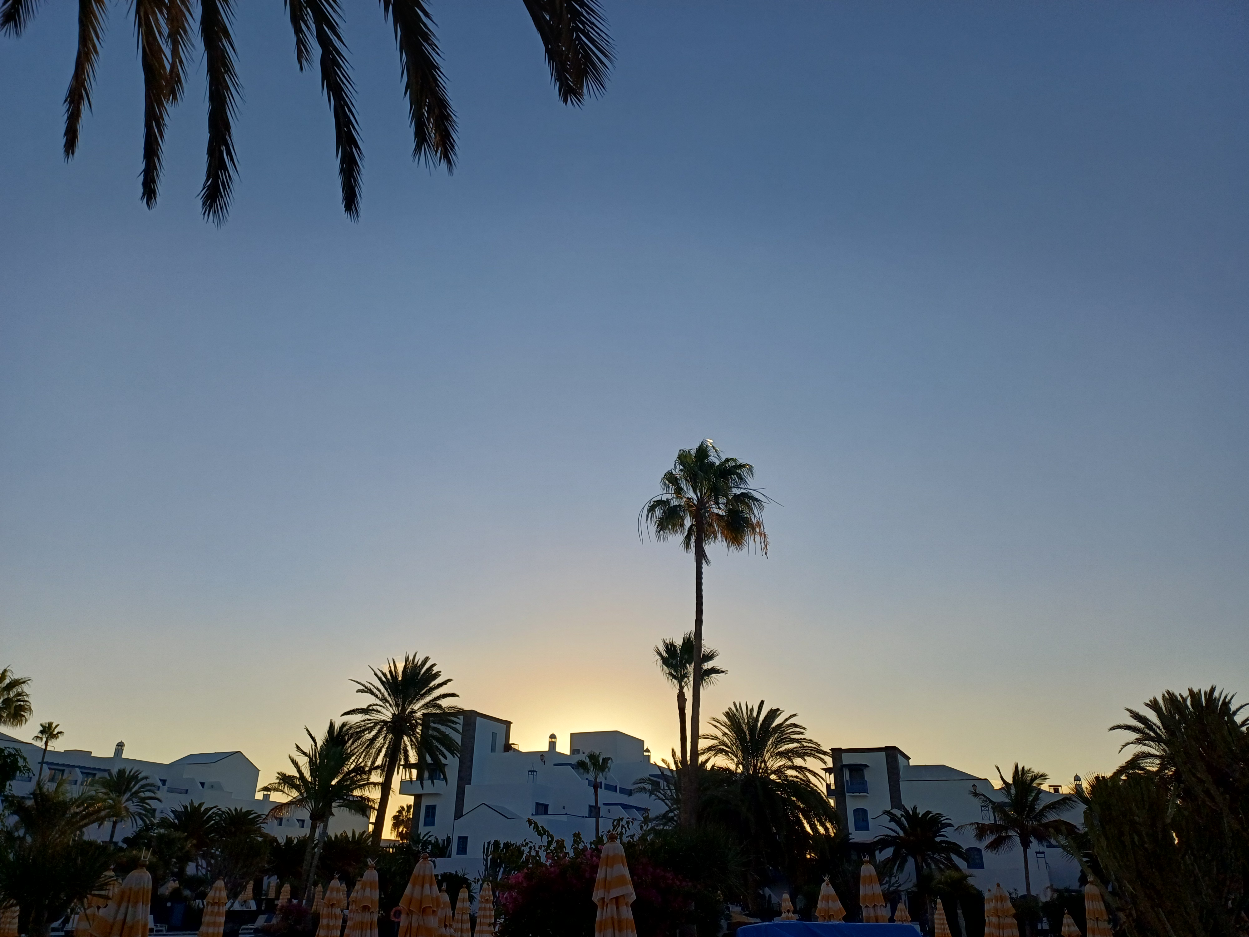 Early Birds and Gala Nights