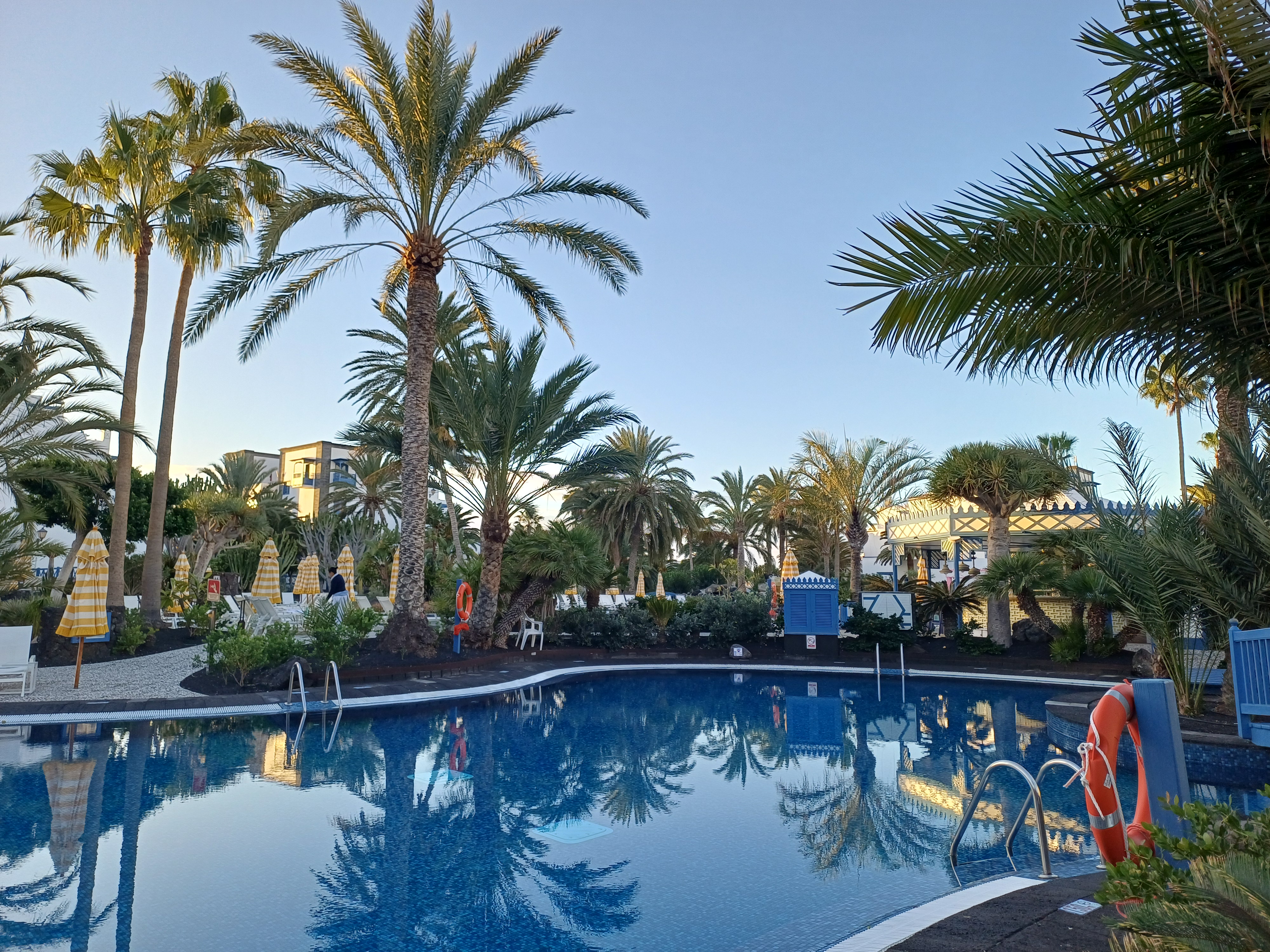 Early Birds and Gala Nights gallery image 3