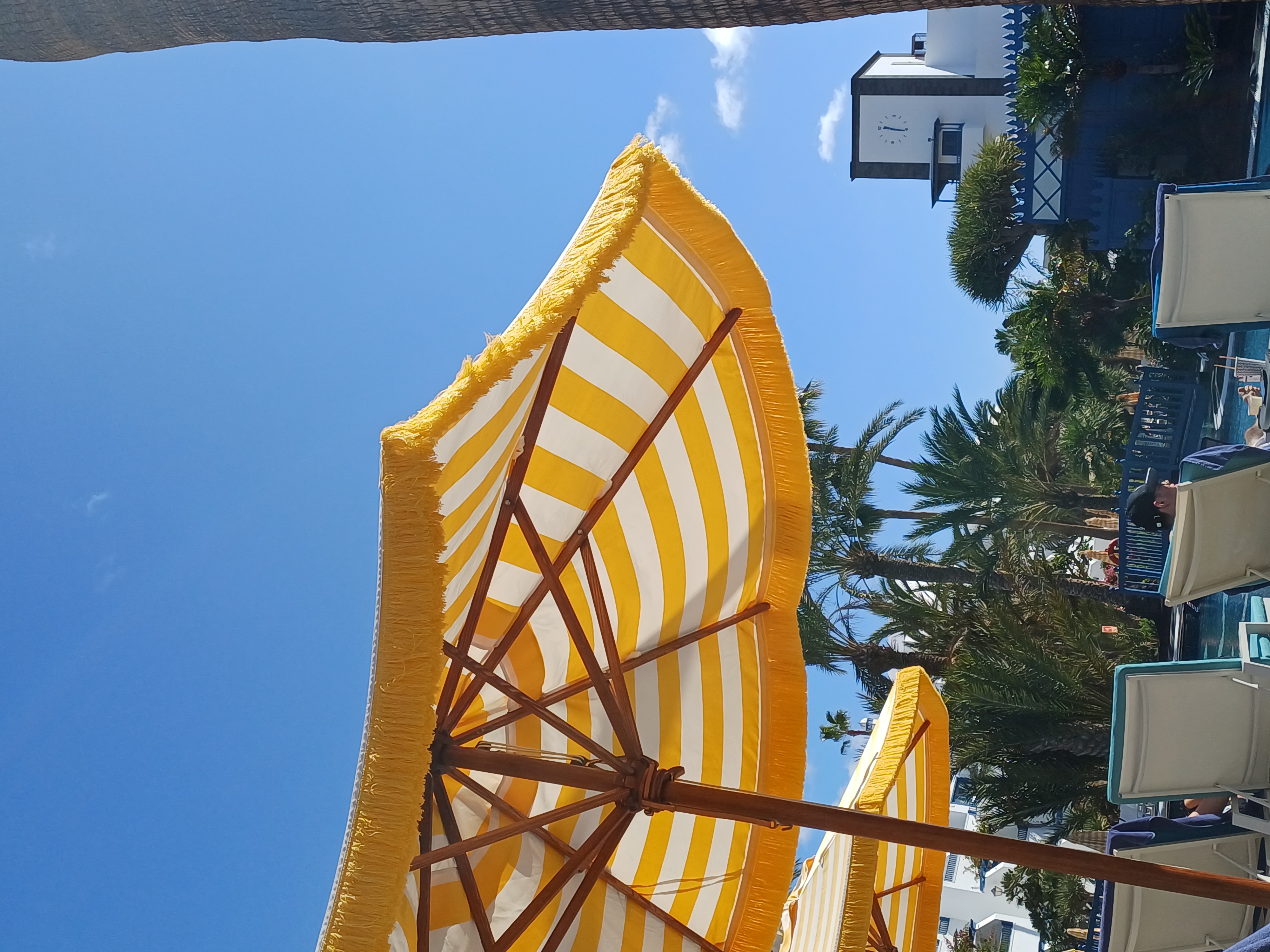 Early Birds and Gala Nights gallery image 5