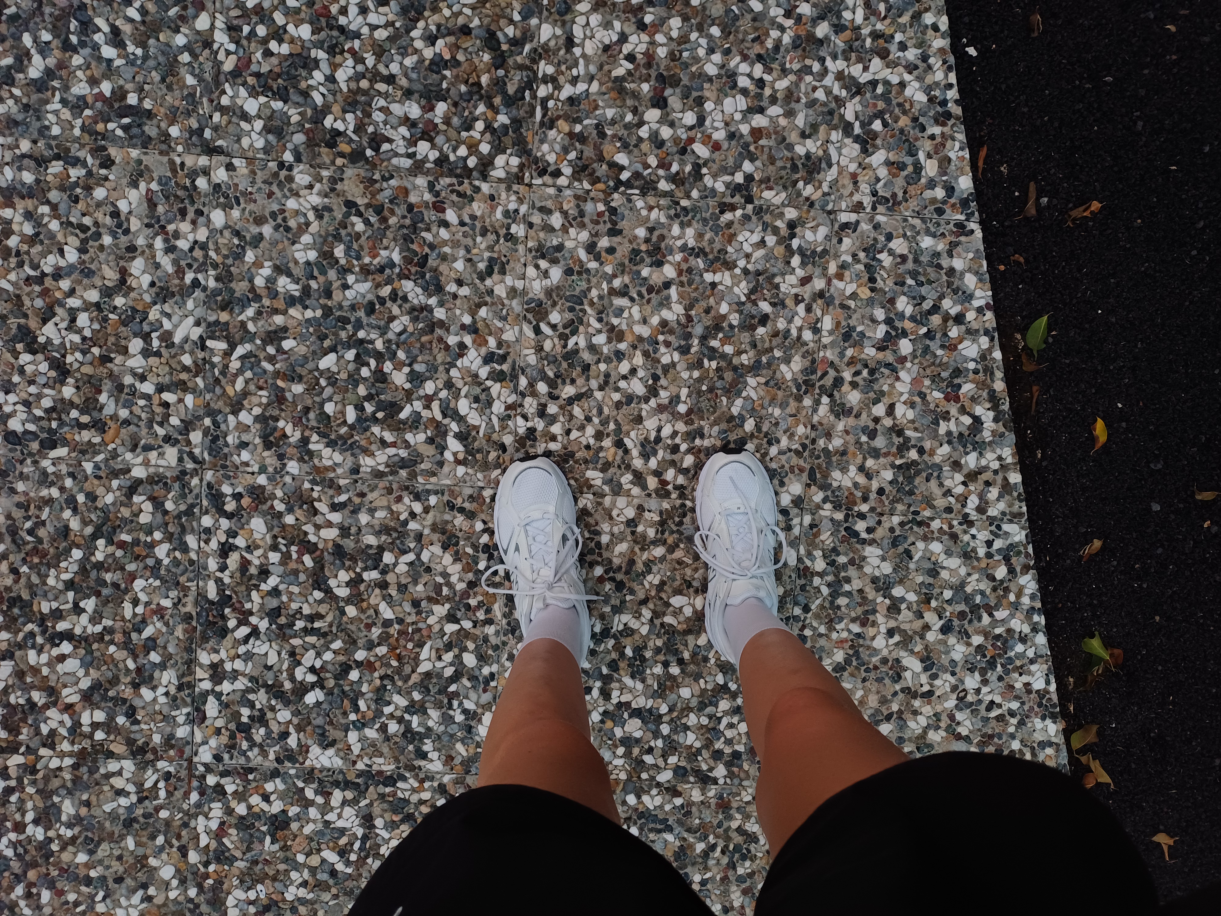 Hello Helen gallery image 1