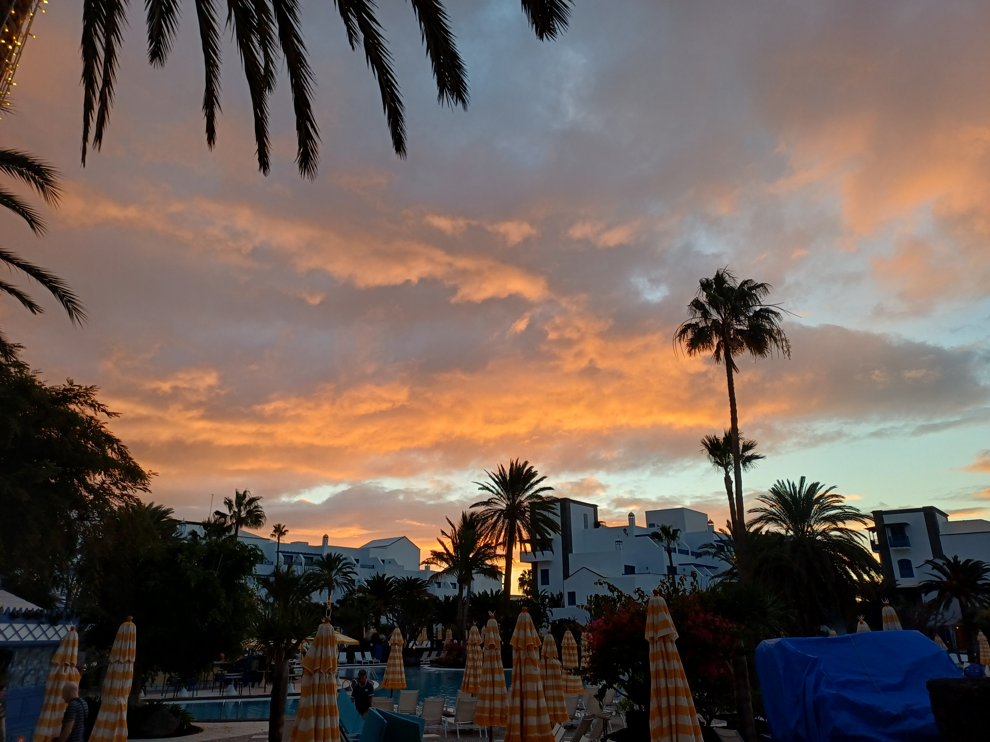 Hello Helen gallery image 2