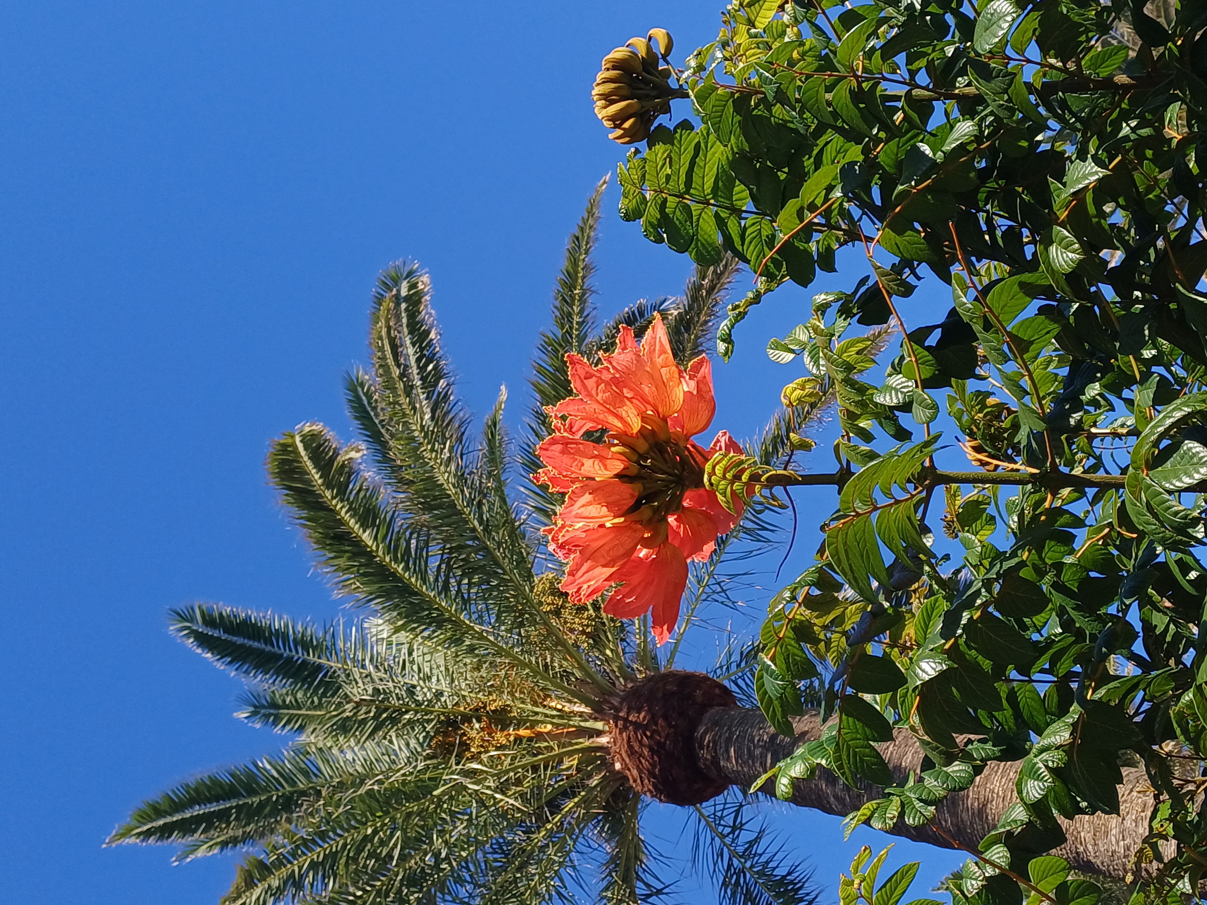 A Blue Car and bluer waters gallery image 2