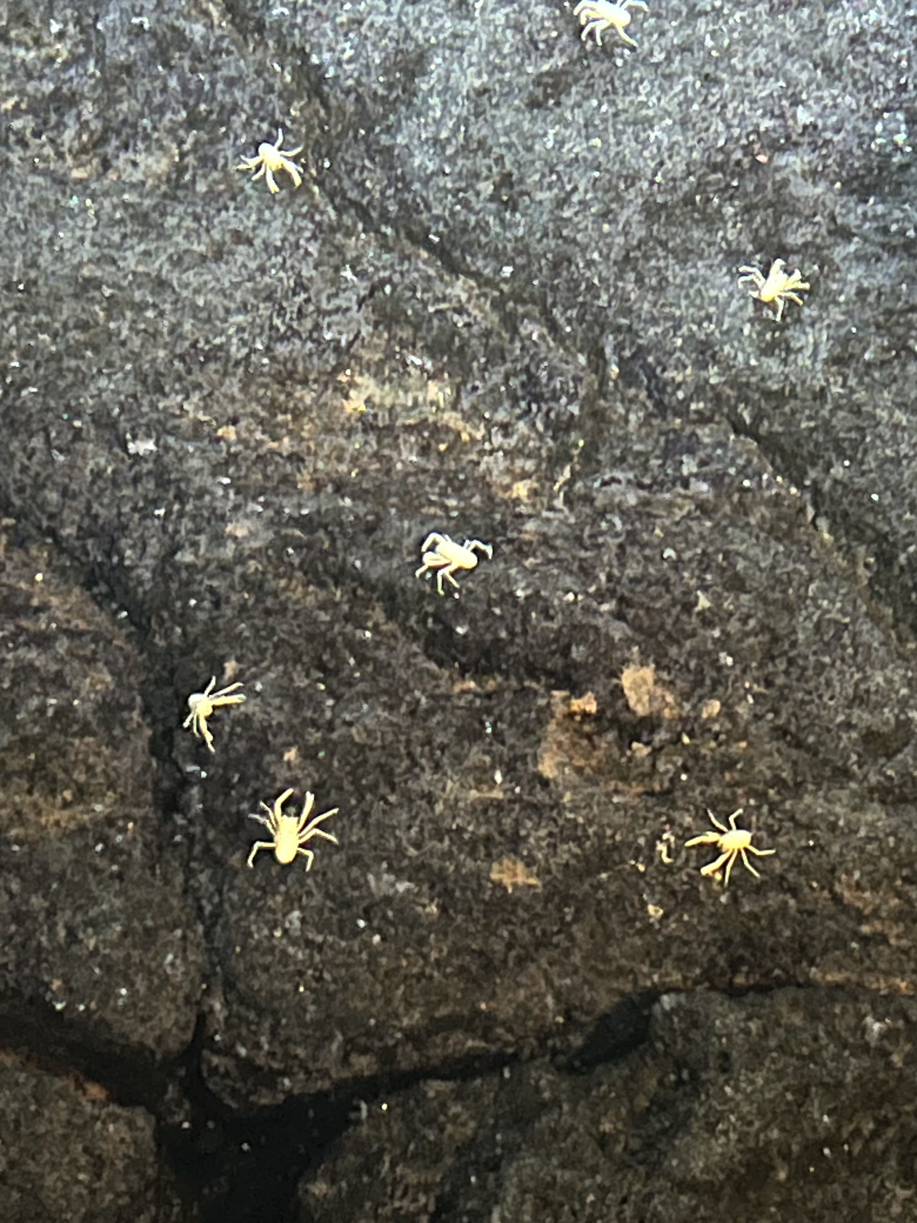 A Blue Car and bluer waters gallery image 7