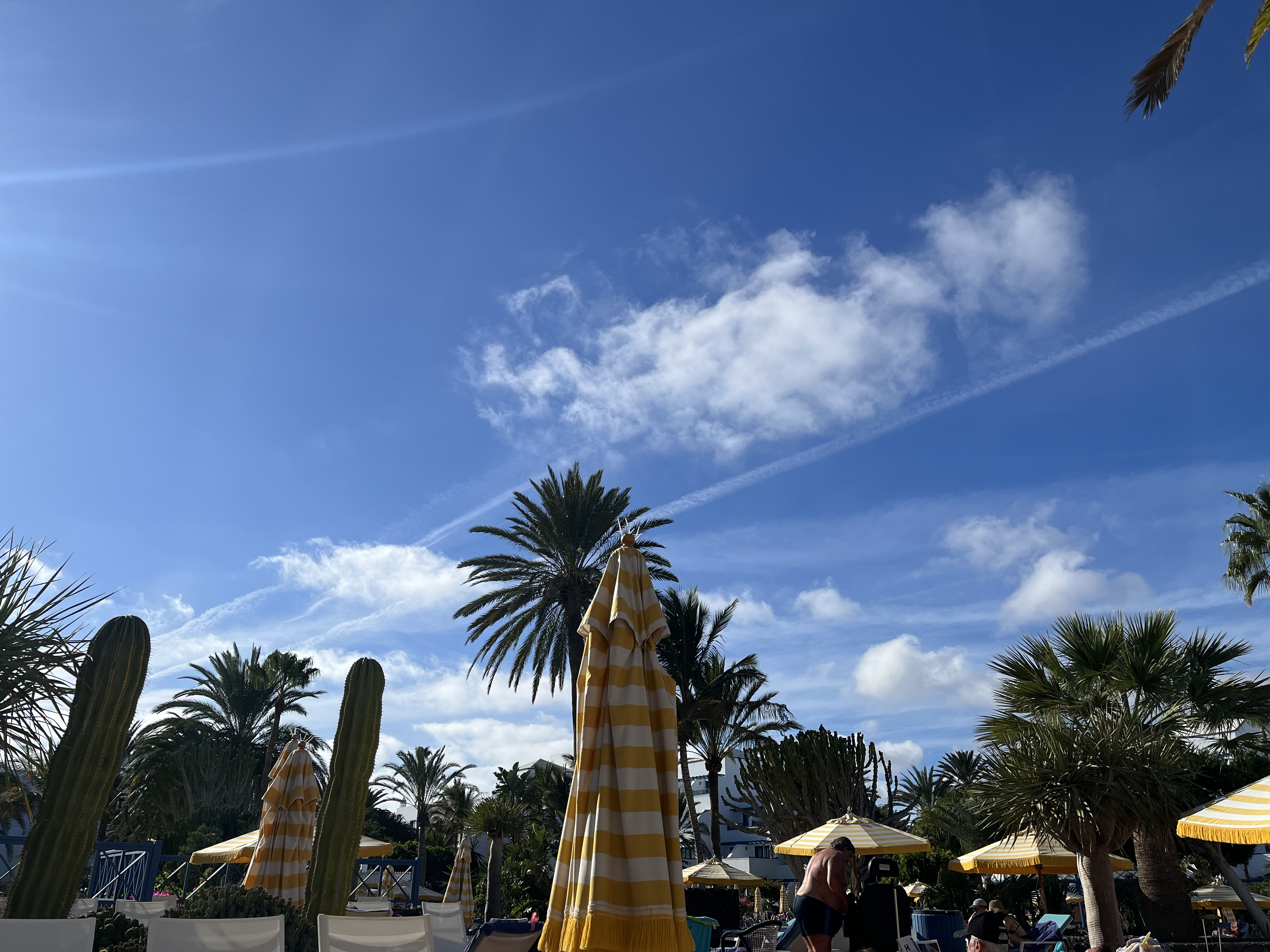 don't forget to chew gallery image 5