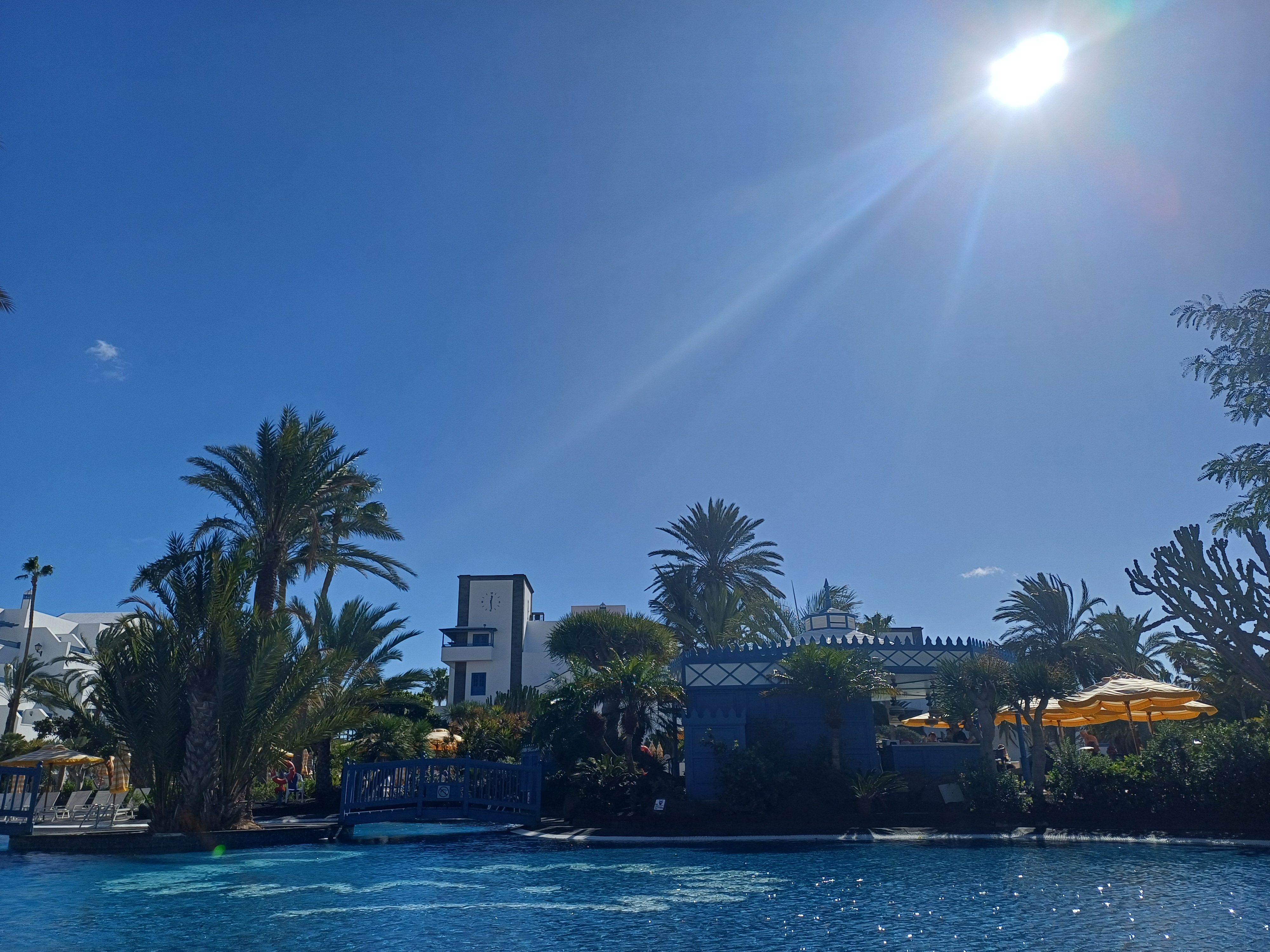 Treadmills, treats, and triggers gallery image 4