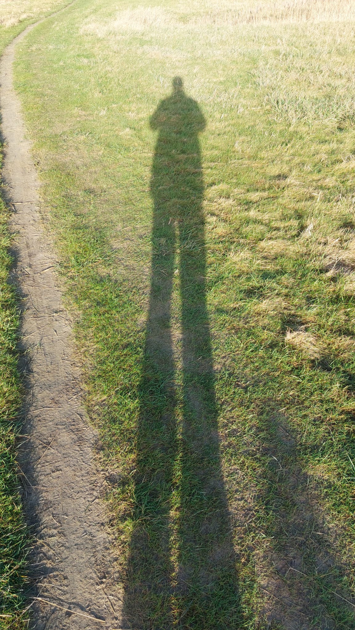 Treadmills, treats, and triggers gallery image 5