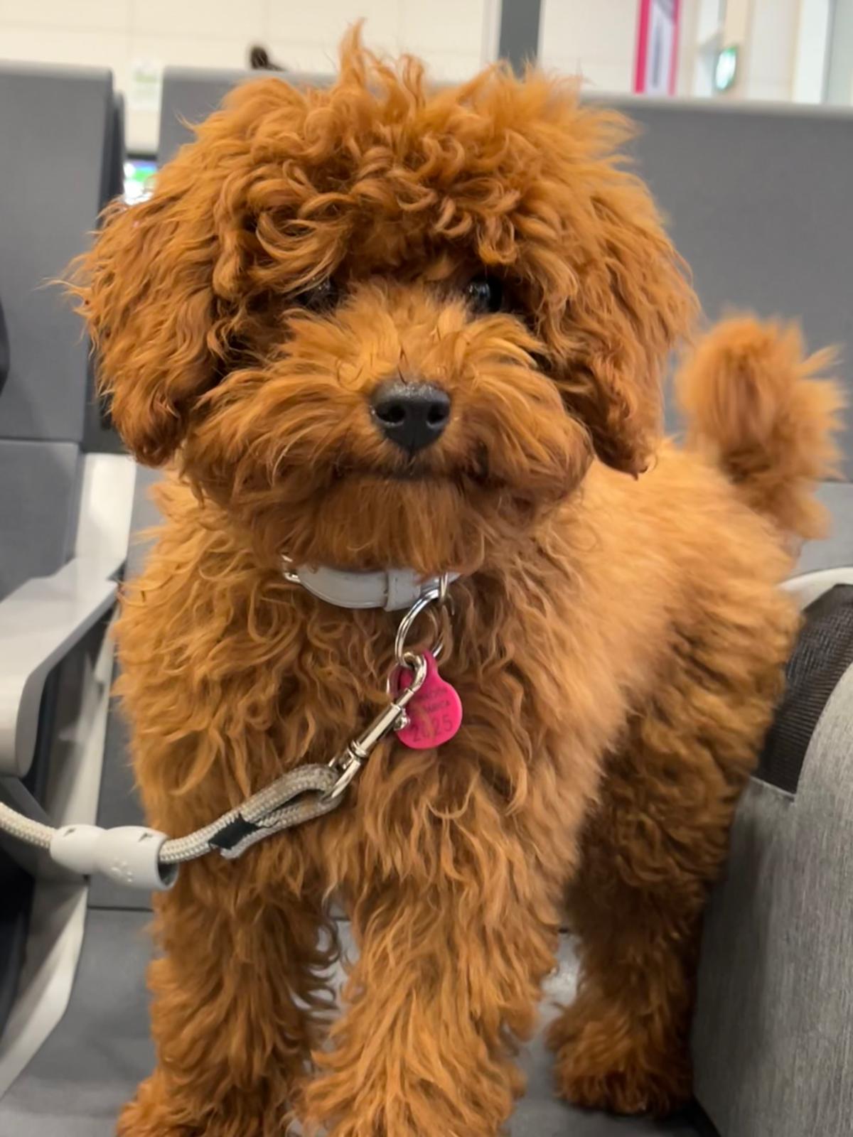 Time Travelling gallery image 5